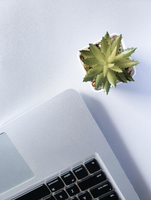 A topdown view of a laptop keyboard and a succulent plant shown to the side.